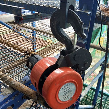 環鏈提升機的常見種類有哪些